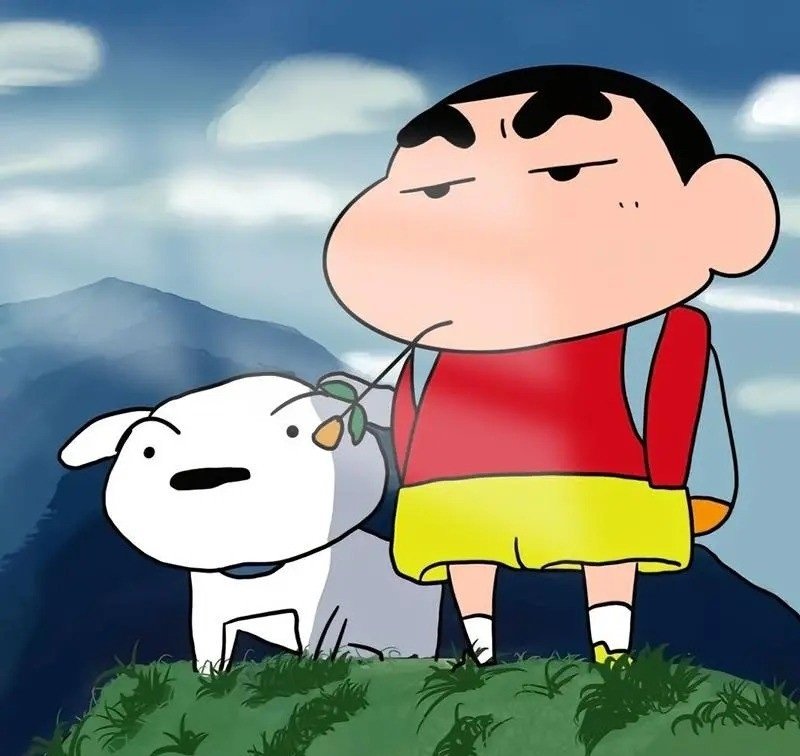 avatar shin vô tri 25