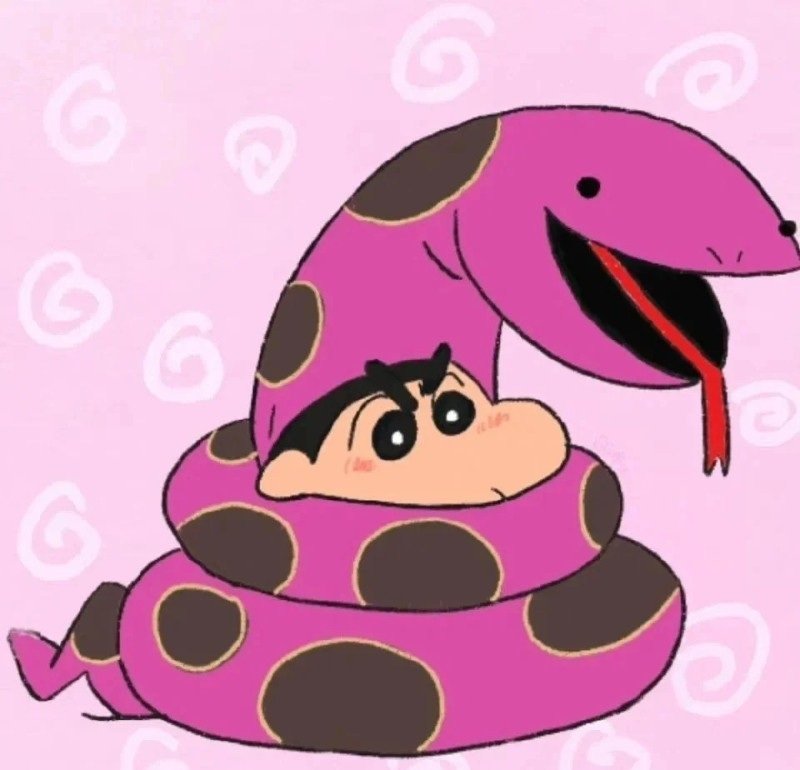 avatar shin vô tri 28