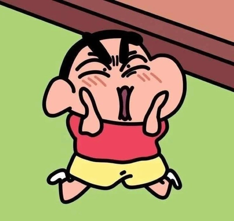 avatar shin vô tri 30