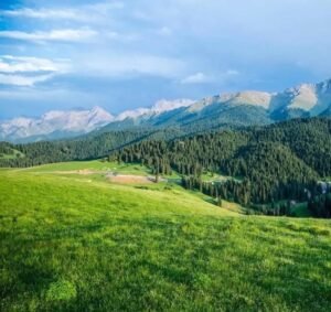 avatar thiên nhiên 15