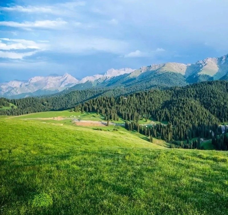 Top 99+ avatar thiên nhiên bầu trời xanh trong, bay bổng, rất chill - Hình ảnh bài viết