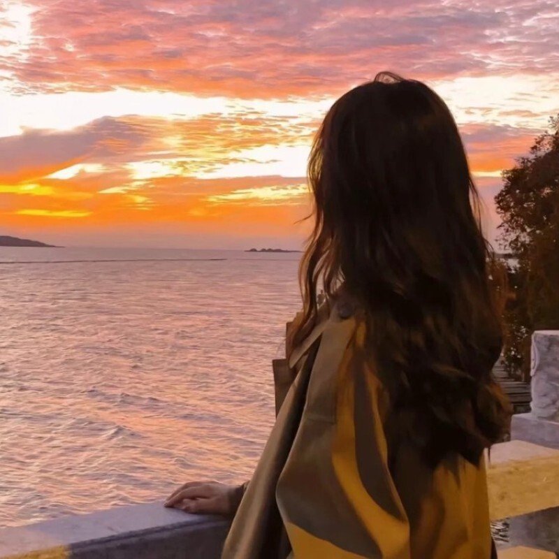 avatar tóc dài chụp sau lưng 28