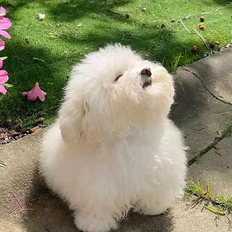 Hình avatar trẻ trâu cool ngầu phù hợp giới trẻ năng động