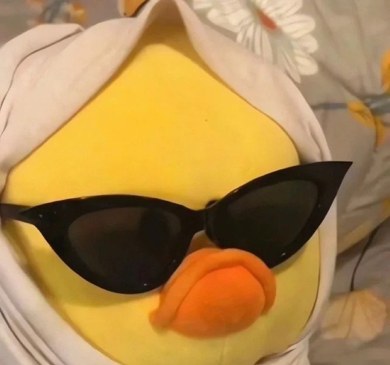 avatar vịt vô tri 17