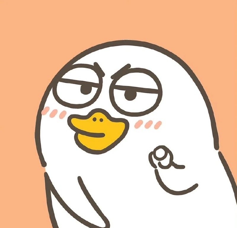 avatar vịt vô tri 19