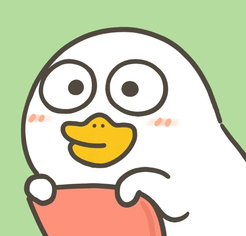 avatar vịt vô tri 23