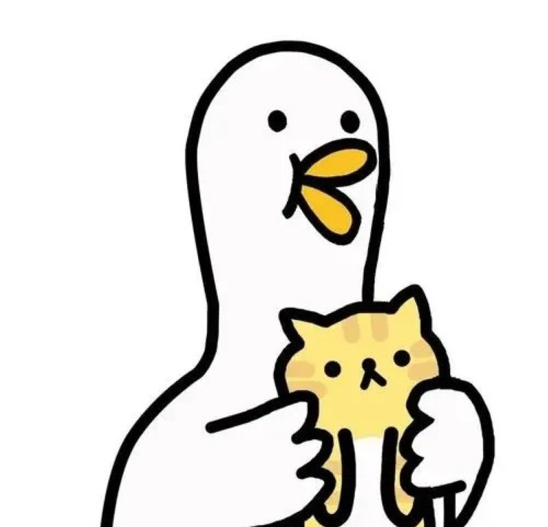 avatar vịt vô tri 24