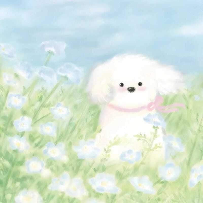 Hình ảnh avatar vô tri cute dùng làm ảnh đại diện cực đẹp