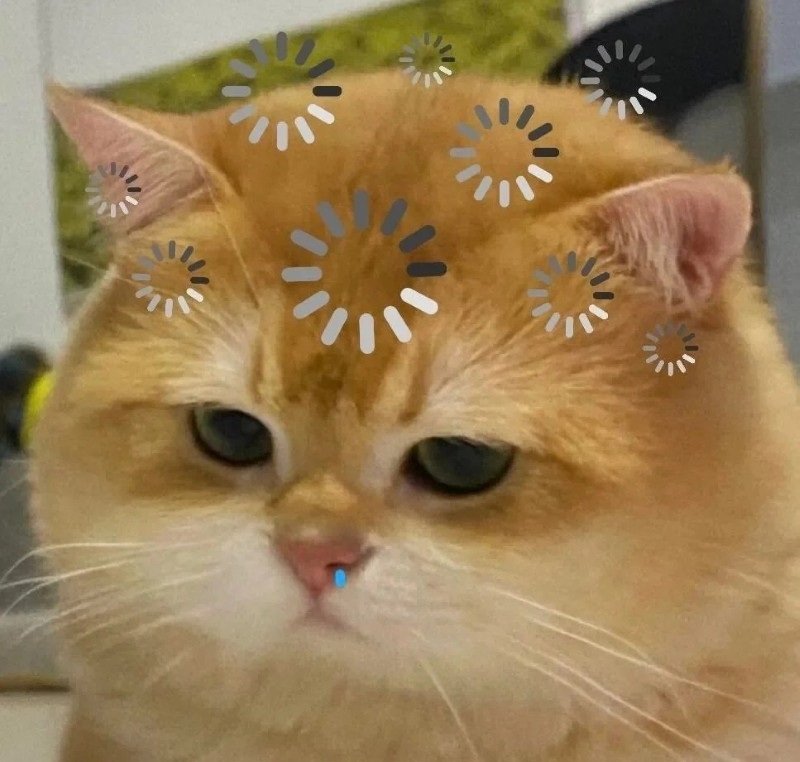 avatar vô tri hài hước 13