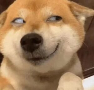 avatar vô tri hài hước 14