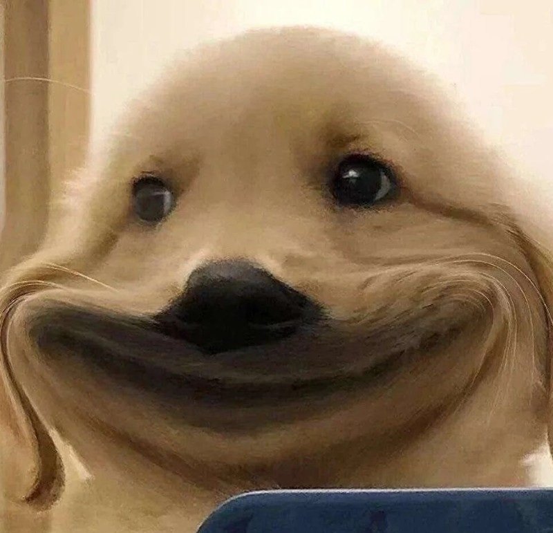 avatar vô tri hài hước 21