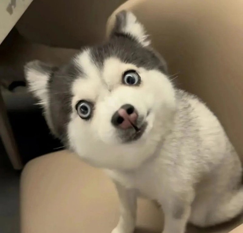 avatar vô tri hài hước 26