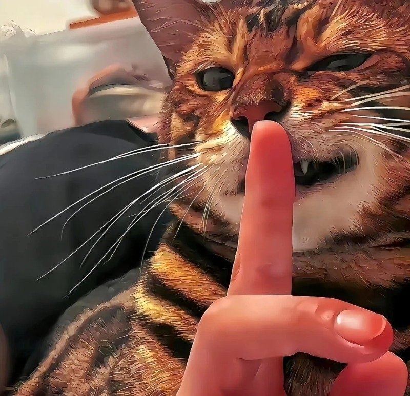 avatar vô tri hài hước 34