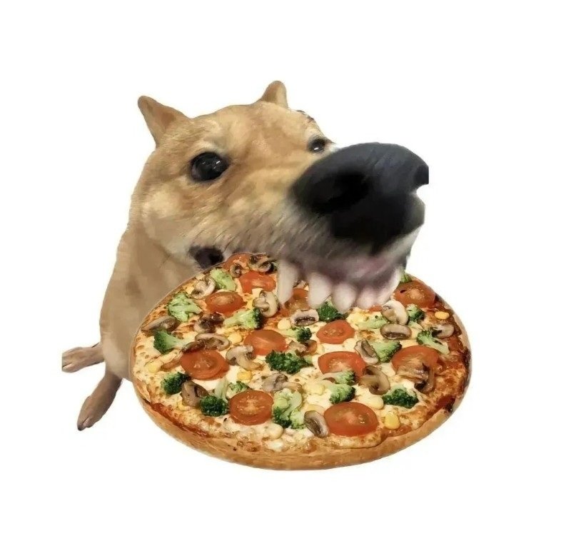 avatar vô tri meme 24