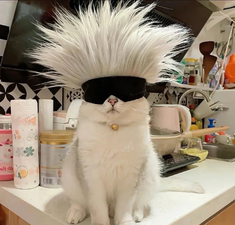 avatar vô tri nam 19