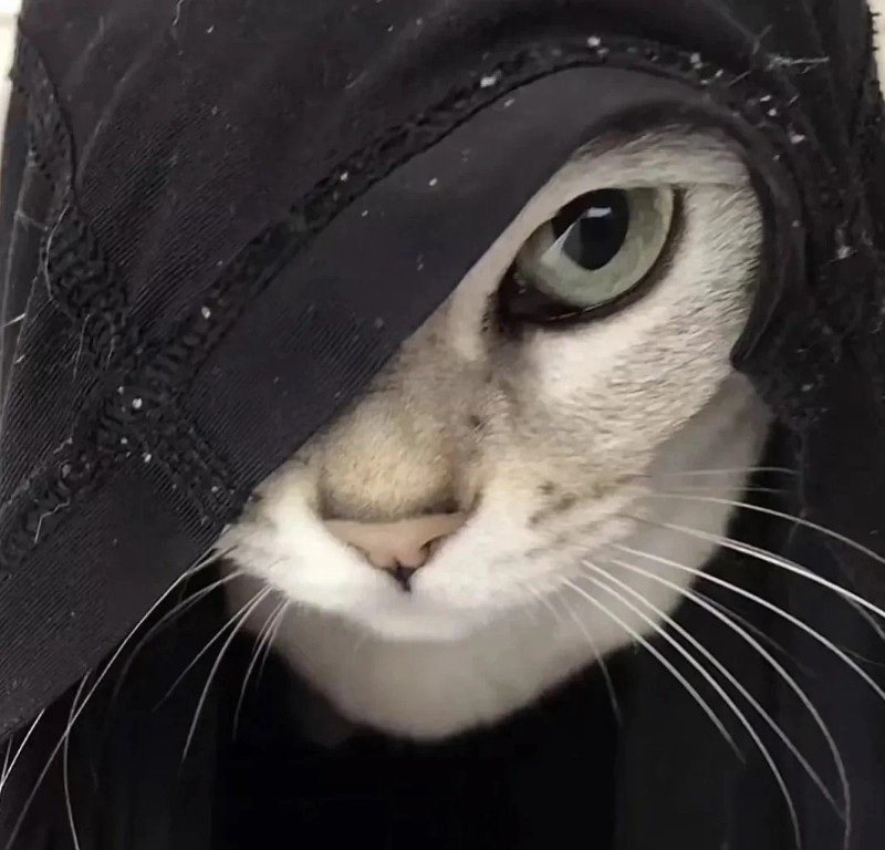 avatar vô tri nam 25