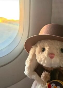 88+ Avatar gấu bông dễ thương phong cách Hàn Quốc xinh & nhẹ nhàng