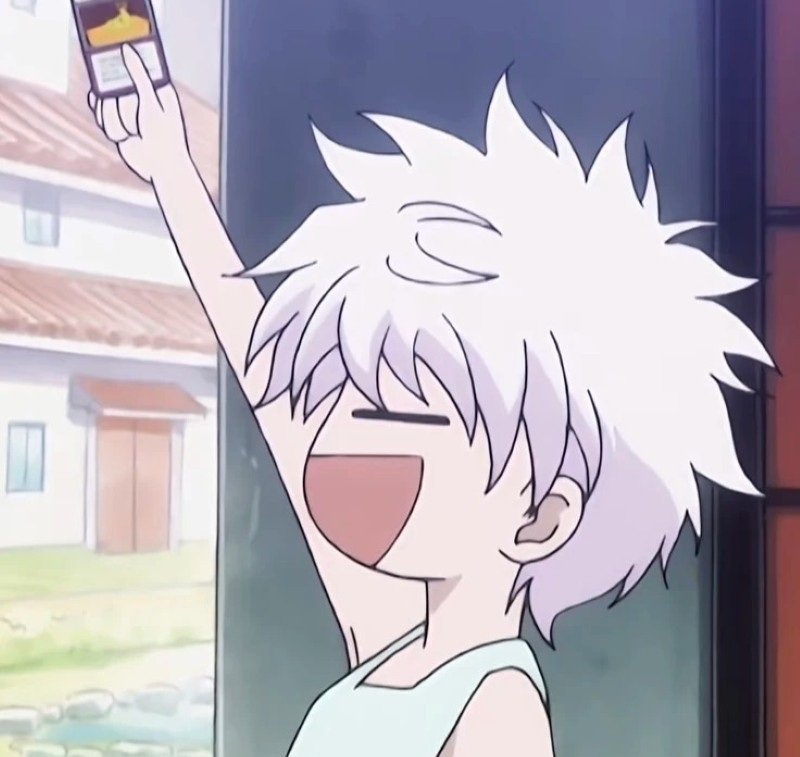 killua avatar 13
