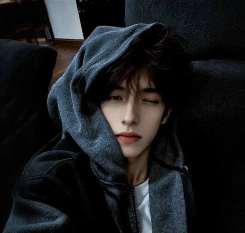 tải avatar tiktok 17