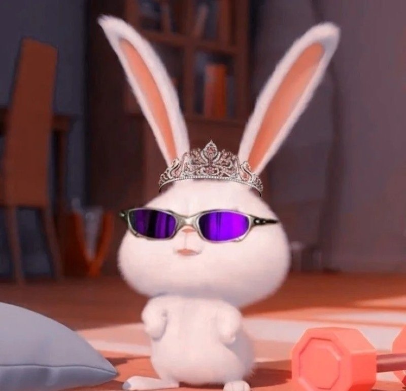 thỏ snowball avatar 1