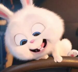 thỏ snowball avatar 14