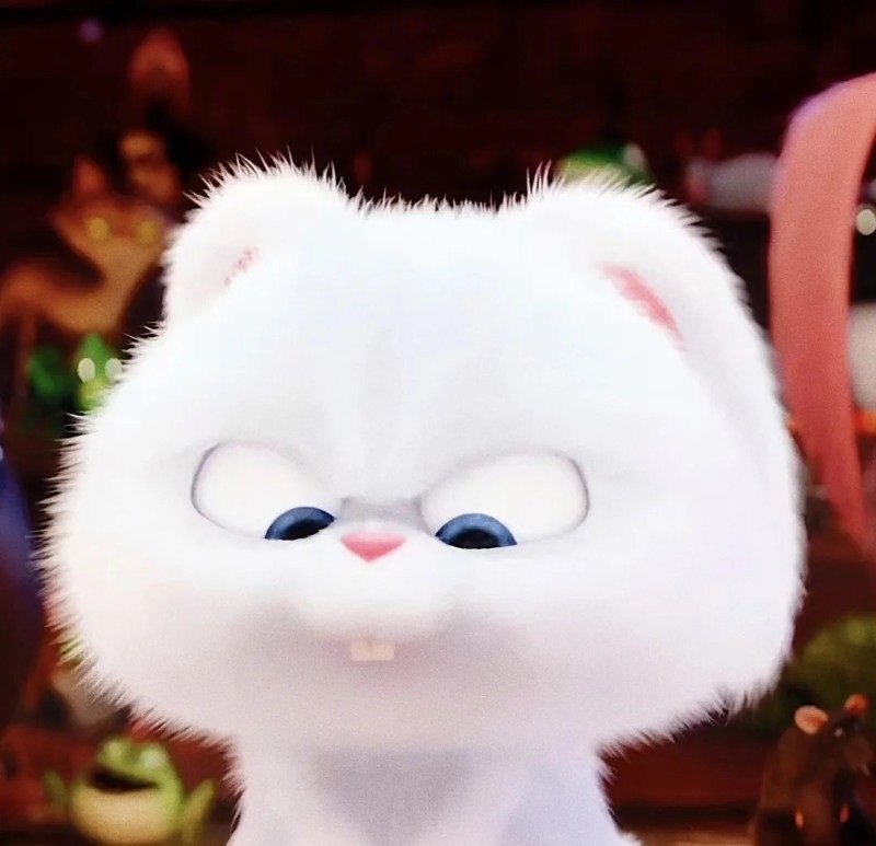 thỏ snowball avatar 19