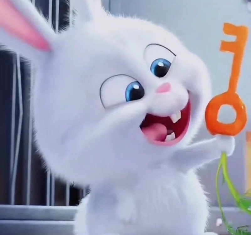 thỏ snowball avatar 2