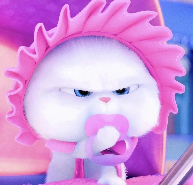 thỏ snowball avatar 23