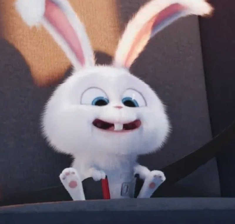 thỏ snowball avatar 29