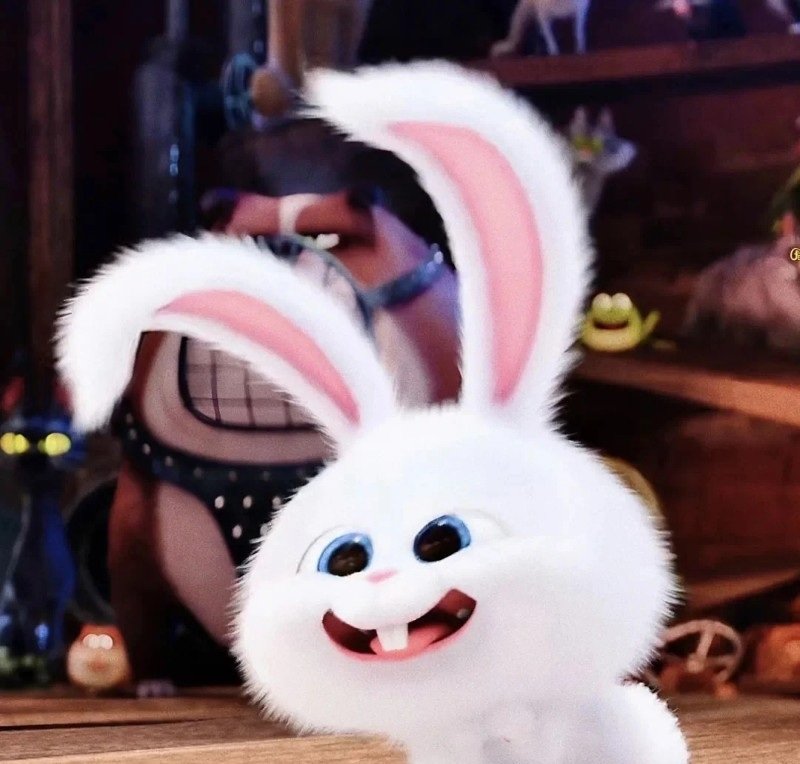 thỏ snowball avatar 34