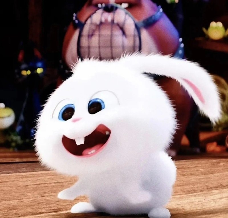 thỏ snowball avatar 37