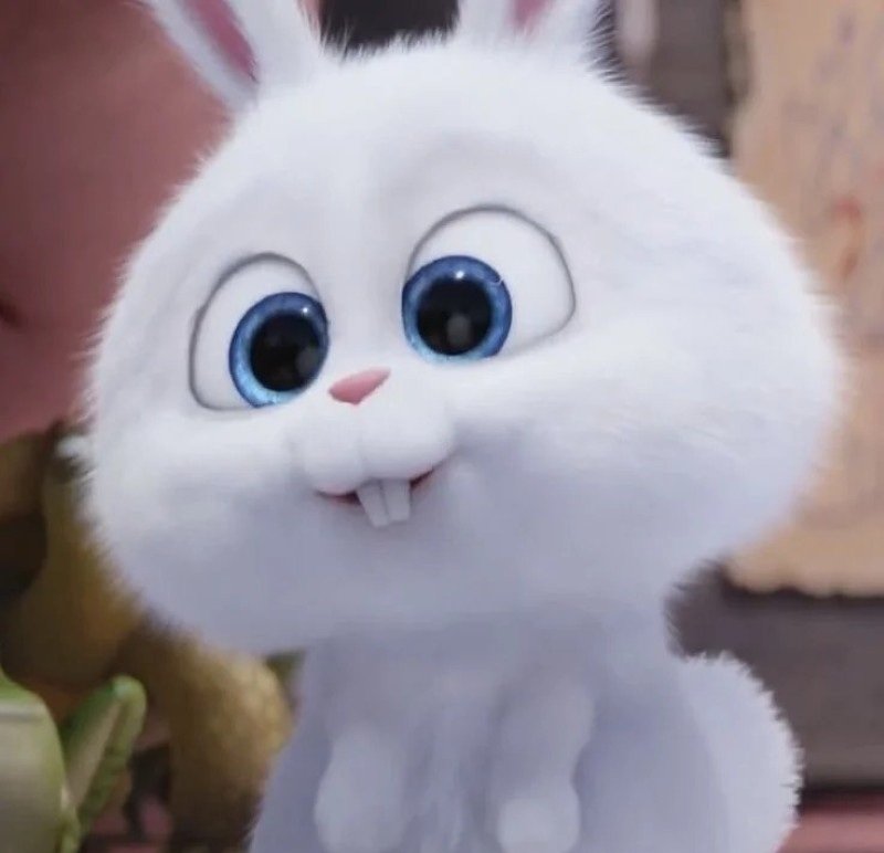 thỏ snowball avatar 9