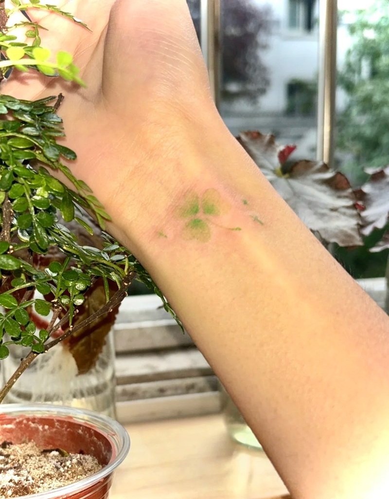 hình xăm cỏ 4 lá 5