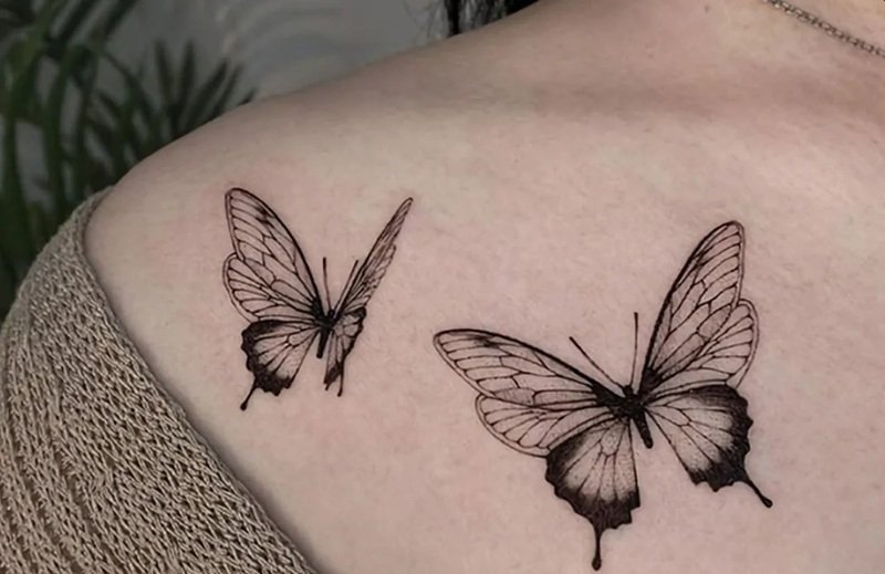 hình xăm con bướm 24