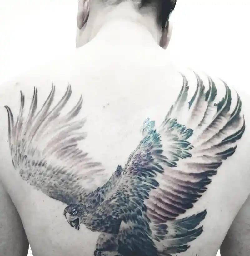hình xăm đại bàng sau lưng 10