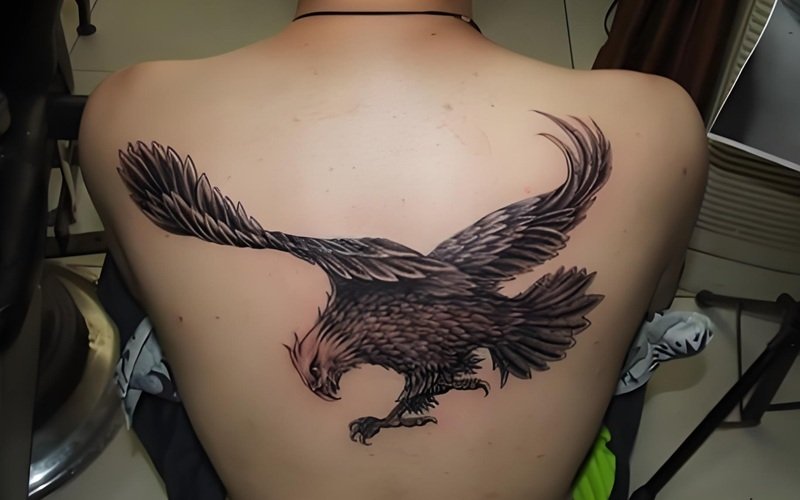 hình xăm đại bàng sau lưng 6