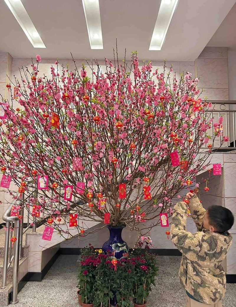 trang trí cây đào 18