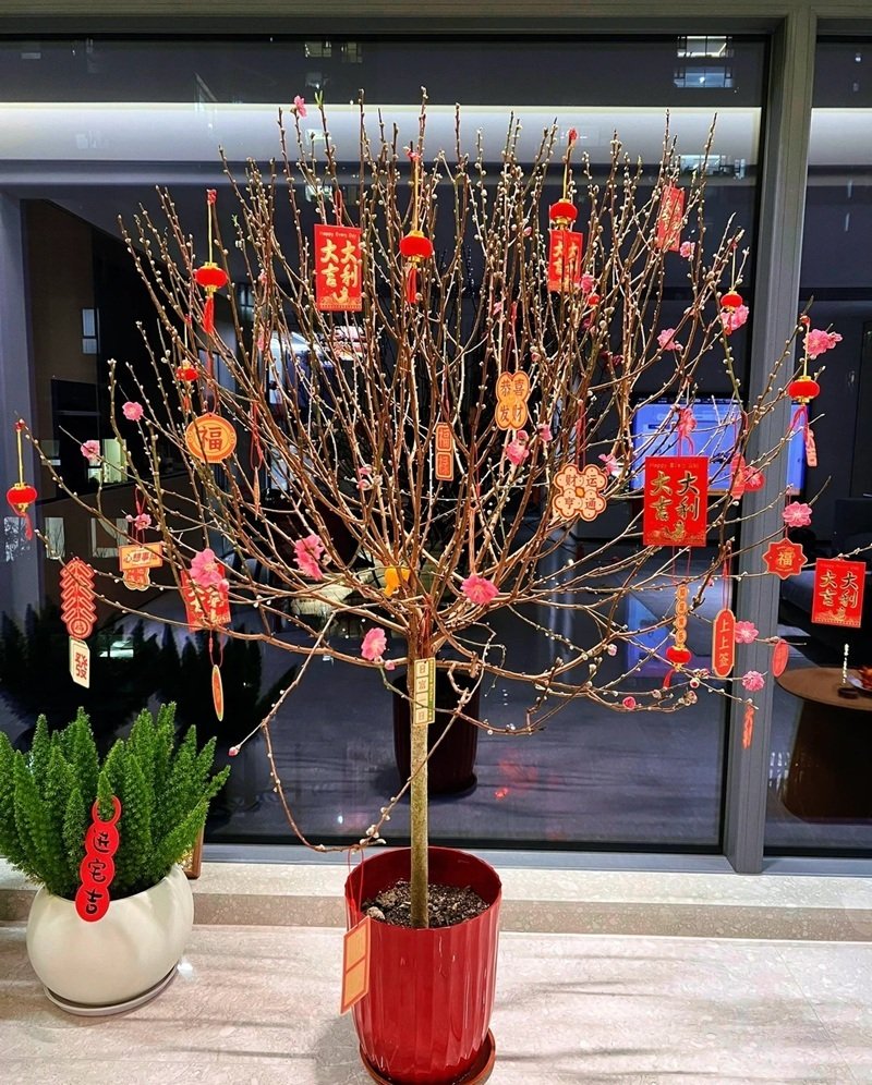 trang trí cây đào 21