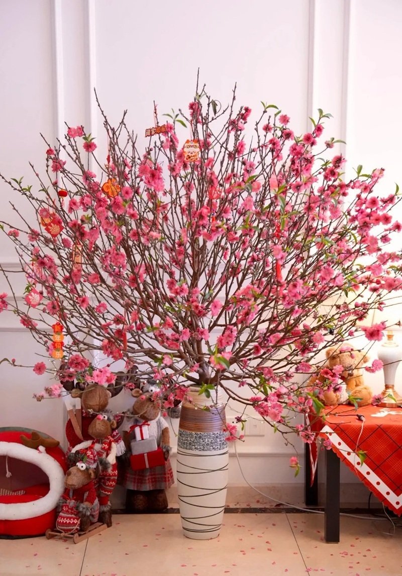trang trí cây đào 8