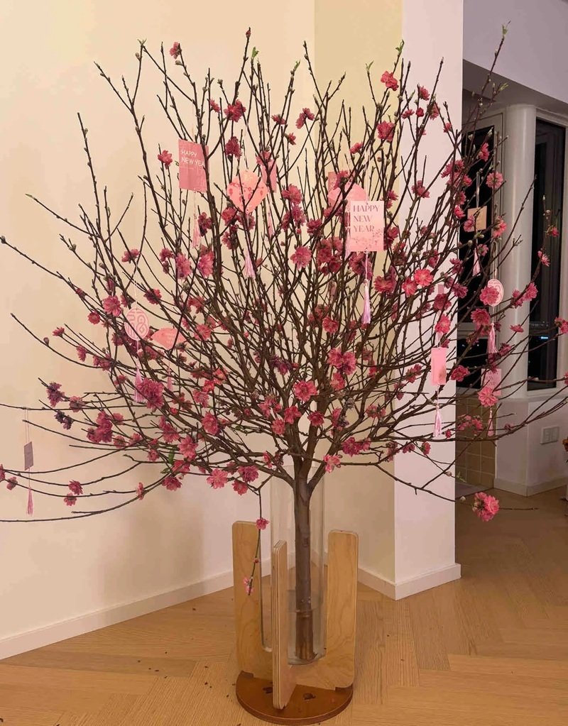 trang trí cây đào tết