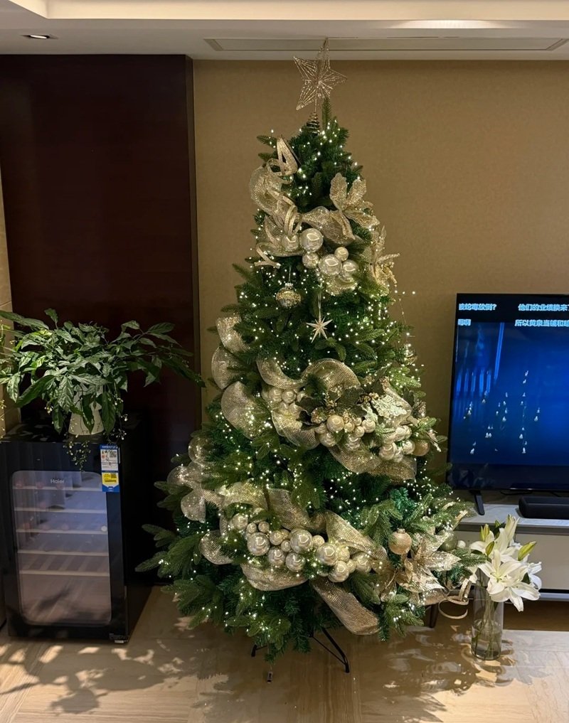 trang trí cây thông noel 17