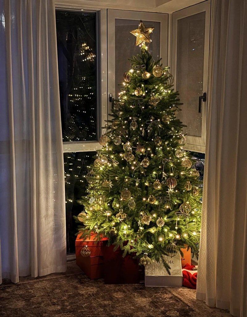 trang trí cây thông noel 18