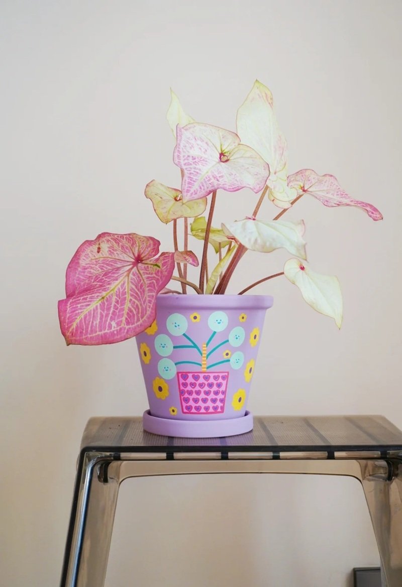 trang trí chậu cảnh 1