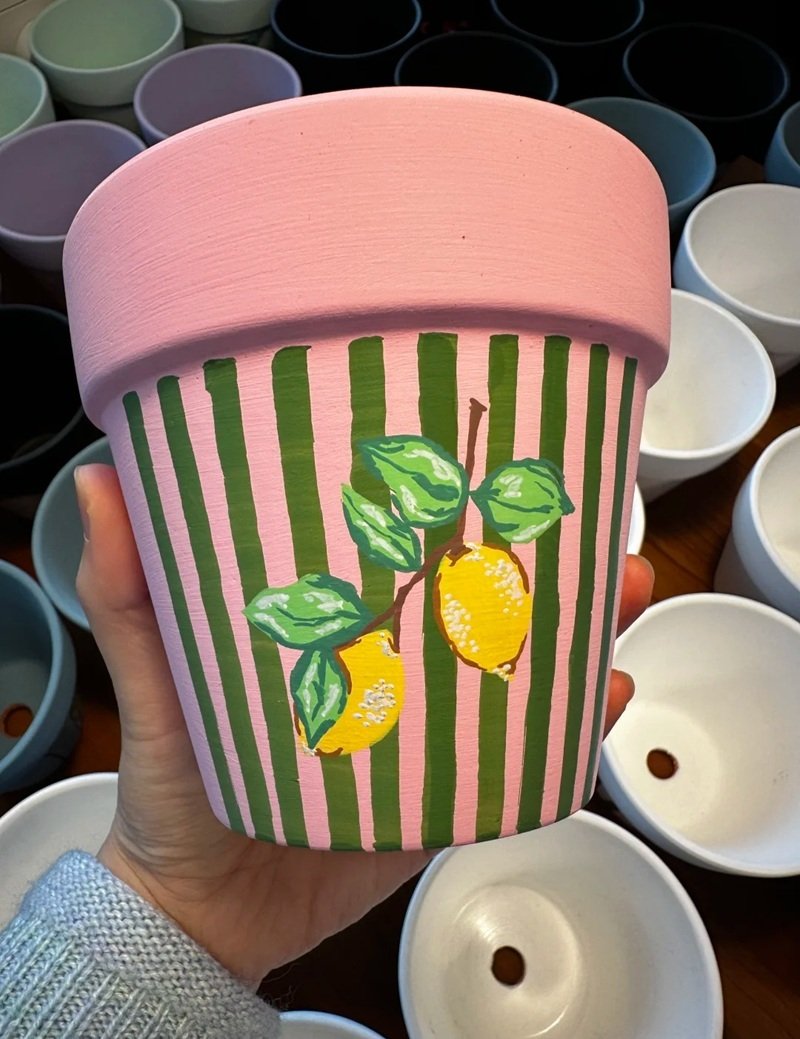 trang trí chậu cảnh 13