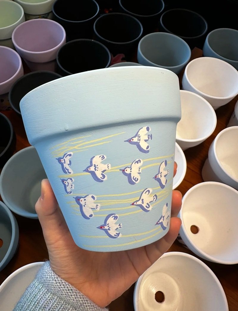 trang trí chậu cảnh 16