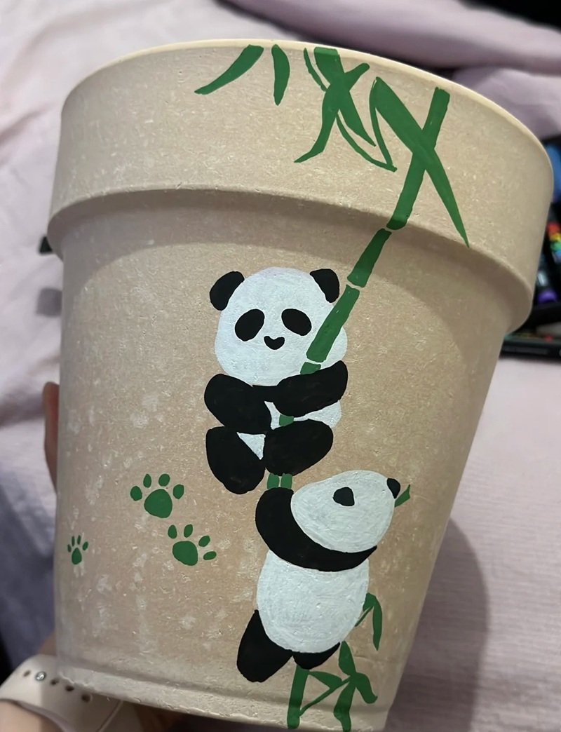 trang trí chậu cảnh 19