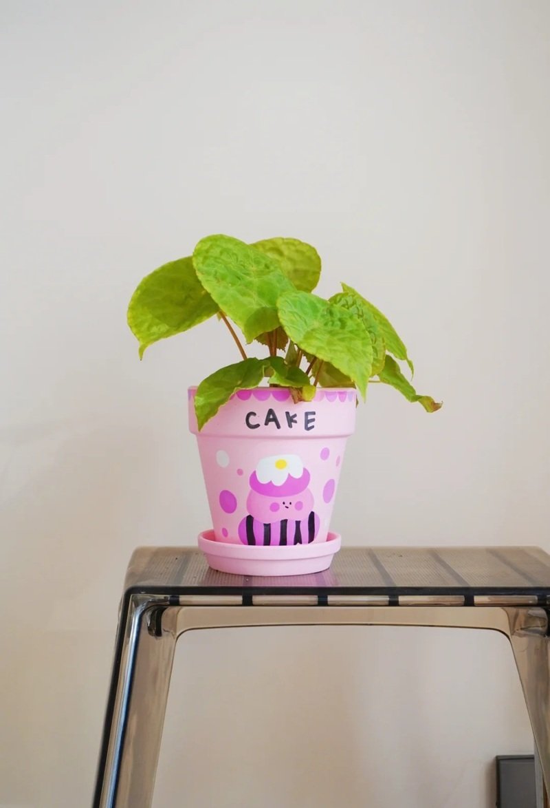 trang trí chậu cảnh 2