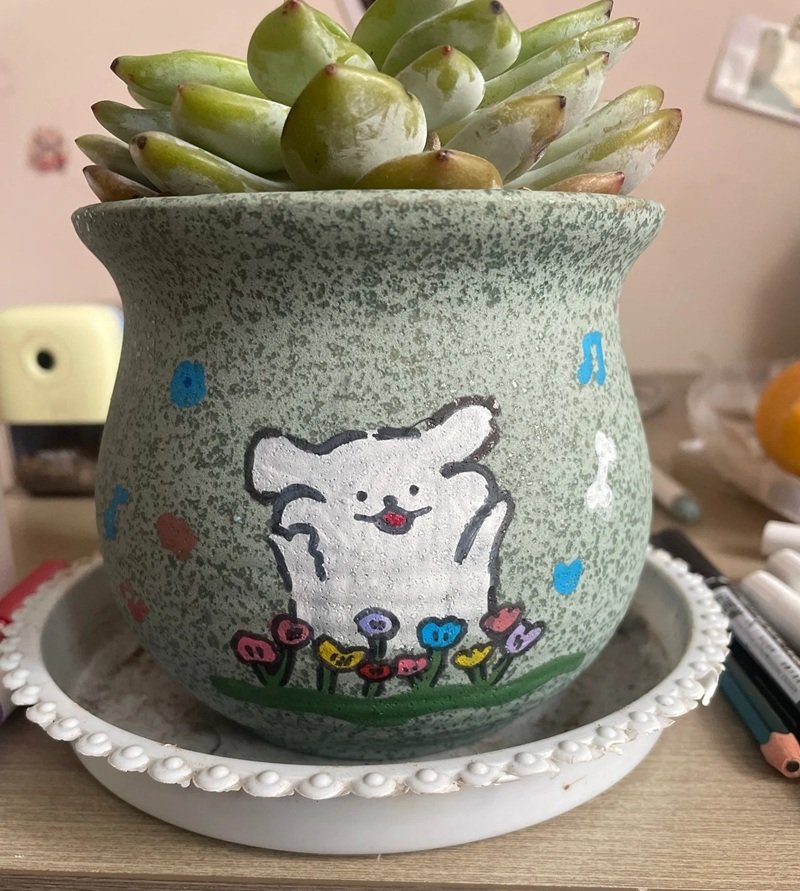 trang trí chậu cảnh 21