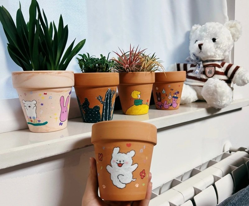 trang trí chậu cảnh 22