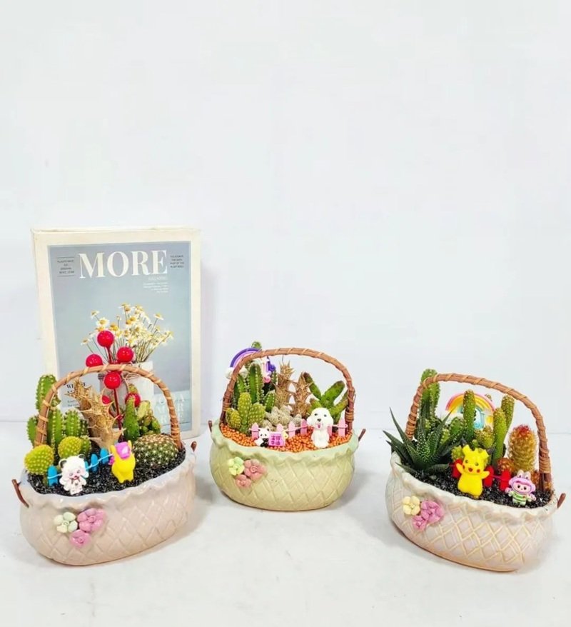 trang trí chậu cảnh 38